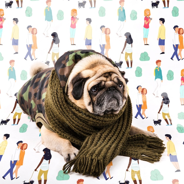 PSD leuke hond bedekt met winterkleding