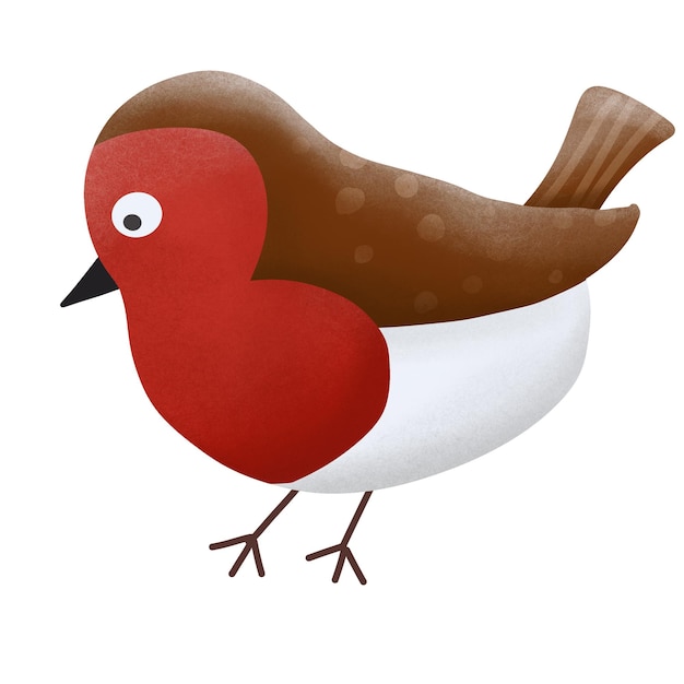 Leuke tekenfilm Robin Bird illustratie
