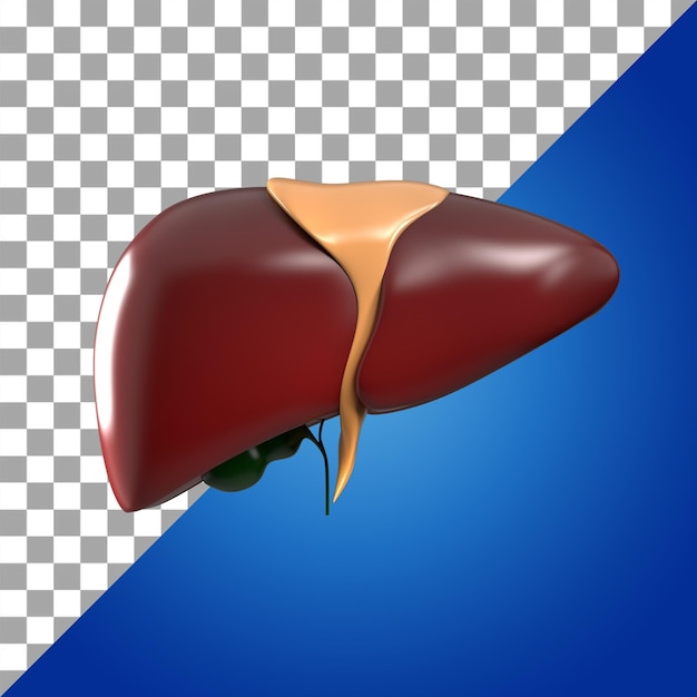 PSD lever 3d pictogram van menselijk intern orgaan