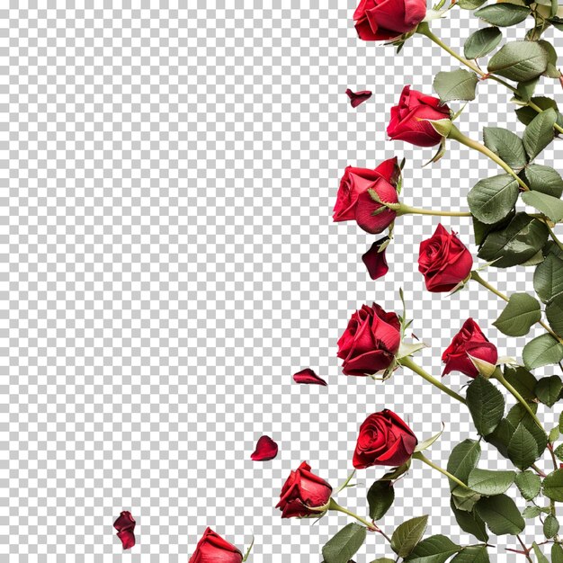 PSD Левитующие лепестки розы розовая гирлянда красная роза сердце тюльпан брызги лепестки изолированы на прозрачной