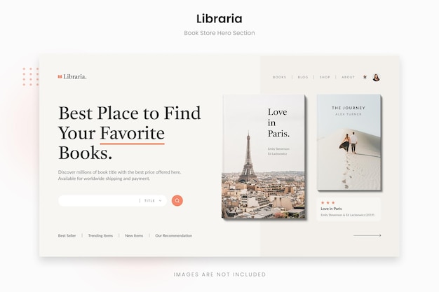 Libraria clean broken white book store sezione eroe