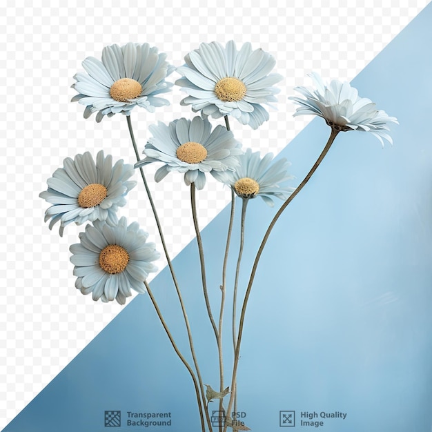 PSD light blue paper adorned with blue daisies