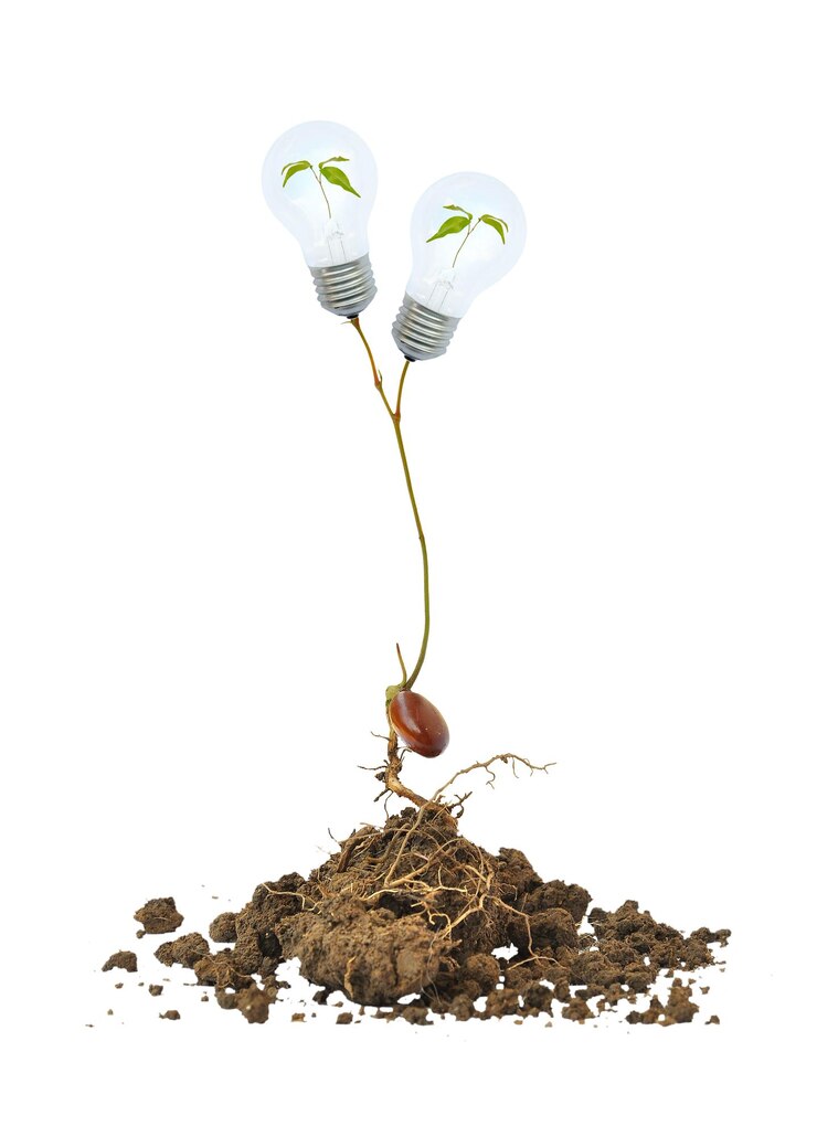 PSD light bulb on the tree and root isolated premium psd