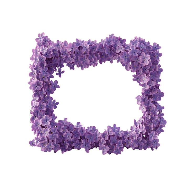 PSD lilac flower frame