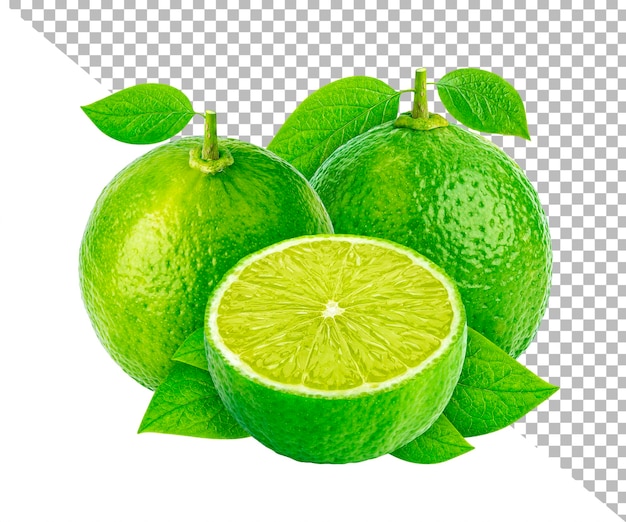 Lime fruits isolated on white background