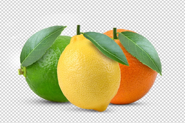 Lime limone arancio isolato su strato alfa