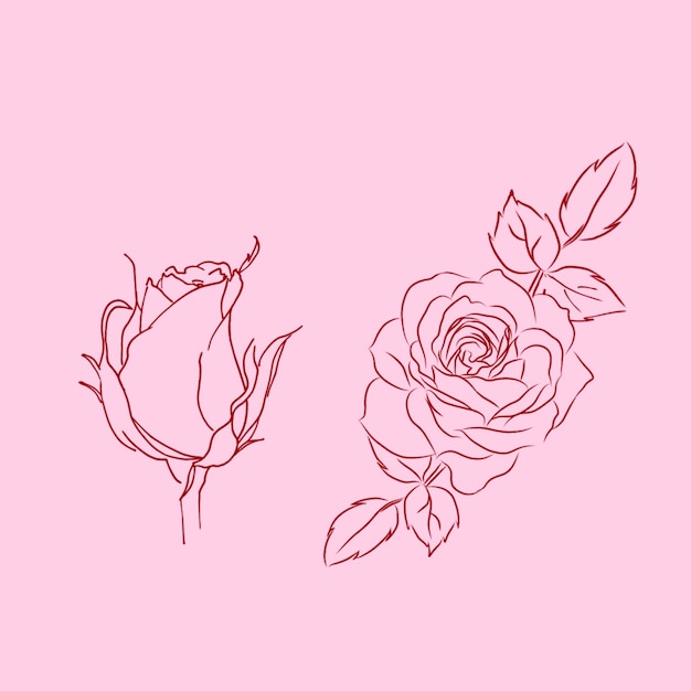 PSD line art red roses burn and bloom