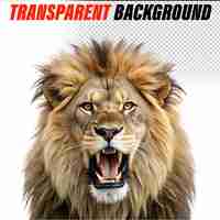 PSD lion watercolor illustration transparent png