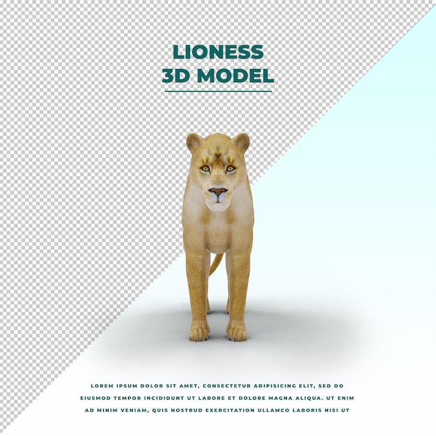 PSD lioness isolated
