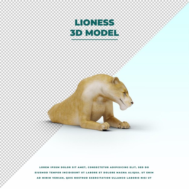 Lioness isolated