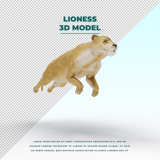 PSD lioness isolated