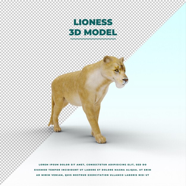 PSD lioness isolated