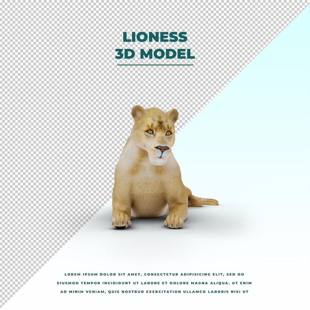 Lioness isolated