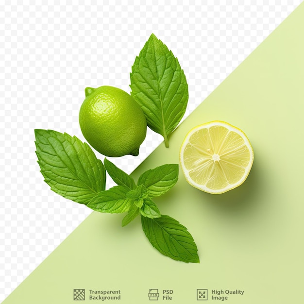 PSD liście limonki i mięty na przezroczystym tle