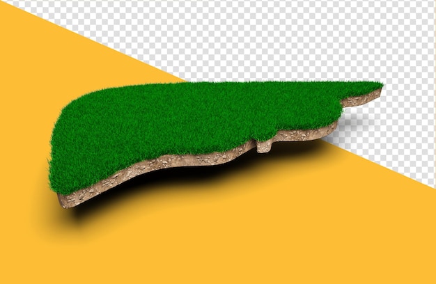 Liver shape made of green grass and rock ground texture cross section with 3d illustration