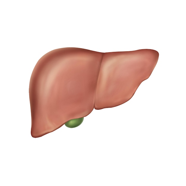 PSD liver