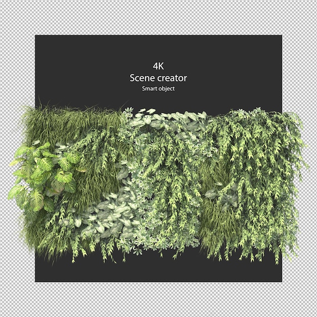 PSD living walls green walls isolated rendering