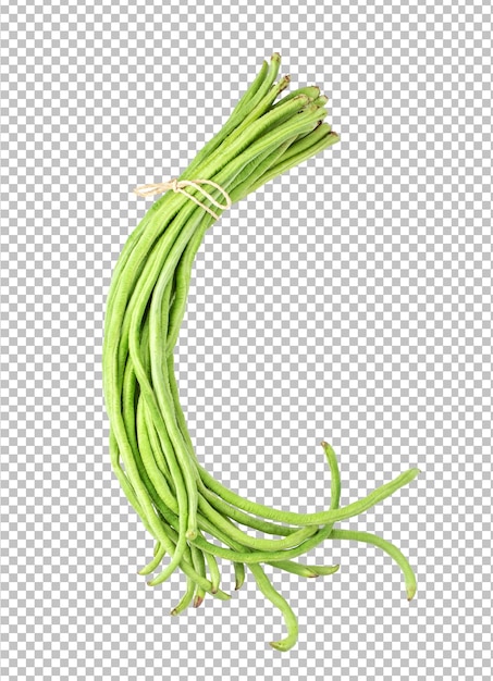 Long beans isolated on alpha layer