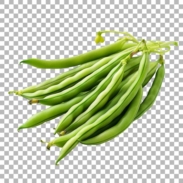 PSD long beans on transparent background