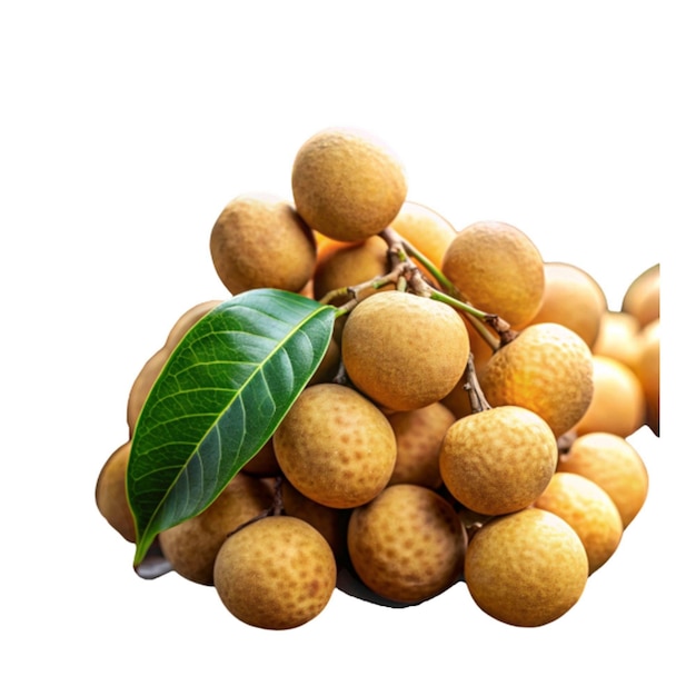 longan fresh longan fruits with leaves isolated on transparent background on ai generative