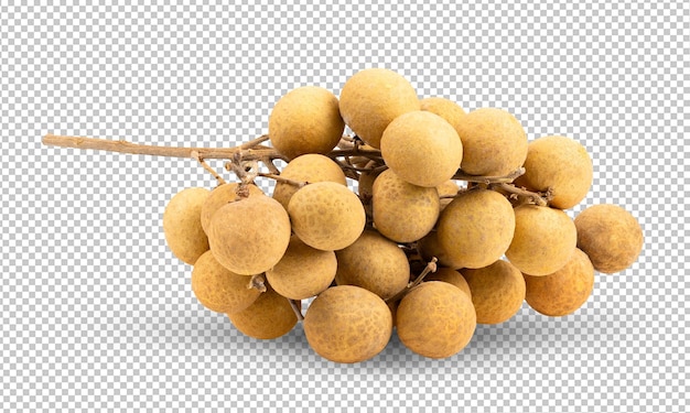 PSD frutti di longan isolati sullo strato alfa