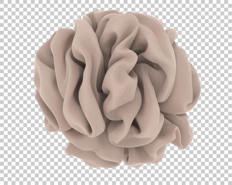 PSD loofah on transparent background 3d rendering illustration