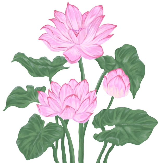 PSD lotus flower digital painting illustration