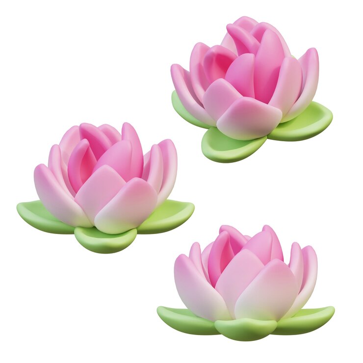 PSD 蓮花的圖像 3d 畫面