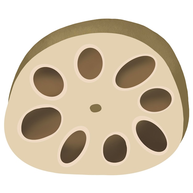 PSD lotus root cross section