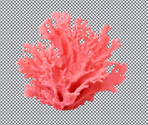 PSD lovable coral pink isolated on transparent background