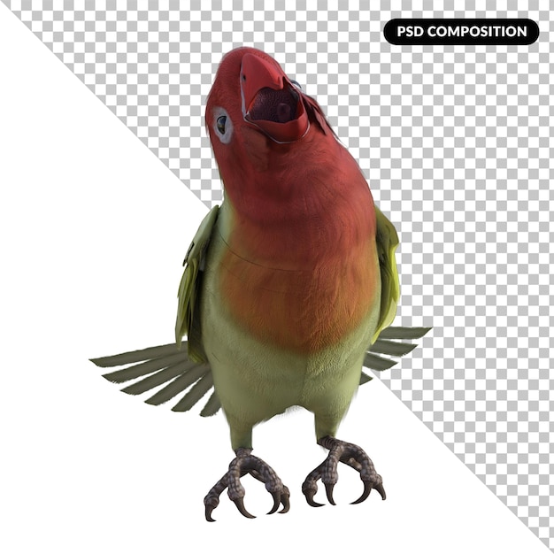 PSD amore uccello animale isolato rendering 3d