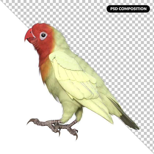 PSD amore uccello animale isolato rendering 3d