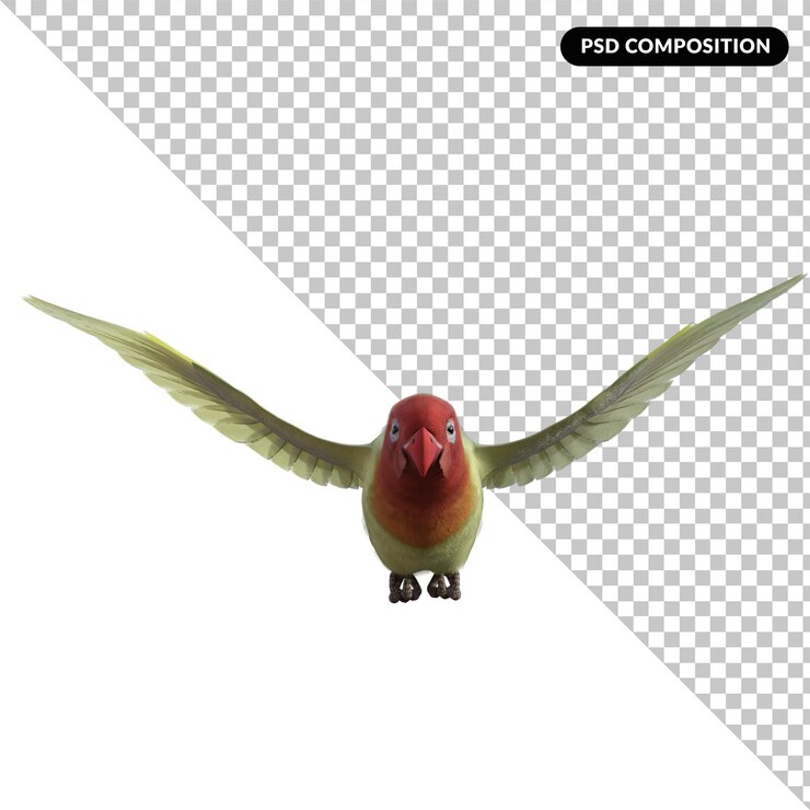 PSD love bird animal isolated 3d rendering