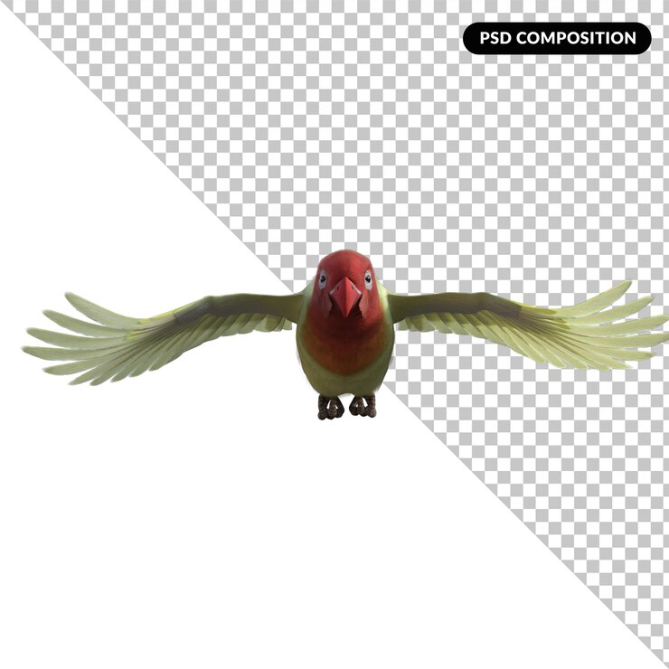 PSD love bird animal isolated 3d rendering