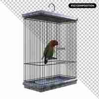 PSD love bird animal isolated 3d