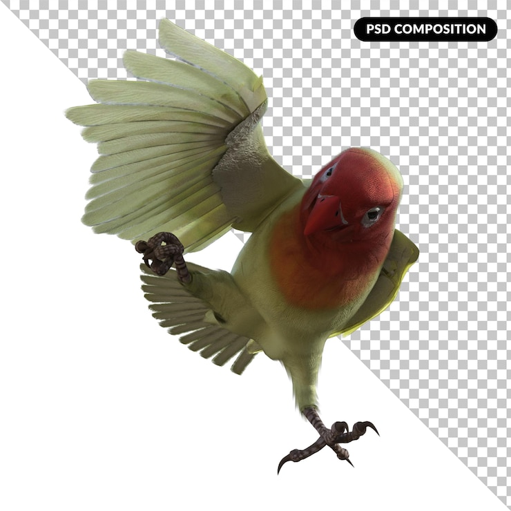 PSD love bird animal isolated 3d