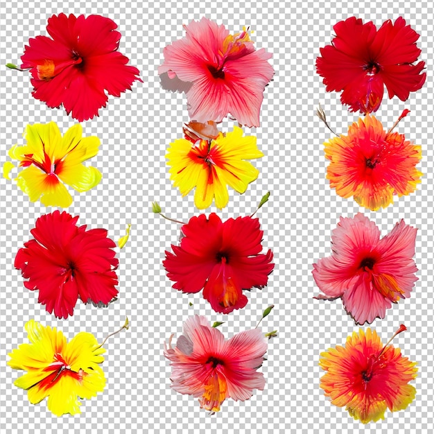 PSD lovely spring flowers and leaves on transparent background