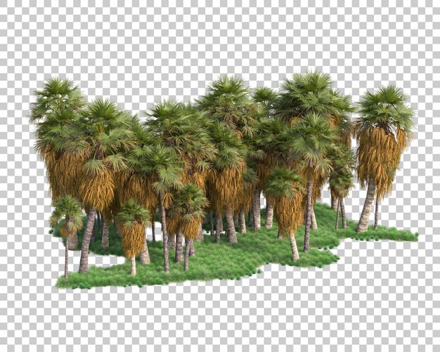 Løvverksøy isolert på transparent bakgrunn 3D-rendering illustrasjon