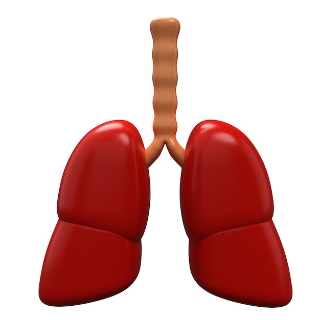 Lung 3d icon on white background