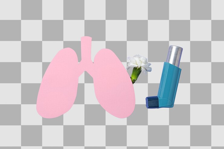 PSD 肺のインハラーと花は白い png に隔離されています