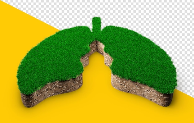 Lungs shape made of green grass and rock ground texture cross section with 3d illustration