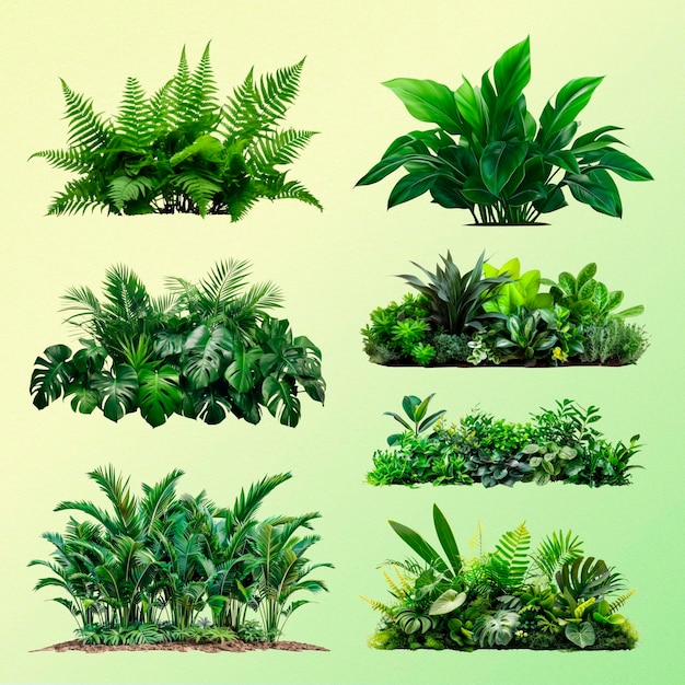 綠色植物裝置設計元素 psd 套件