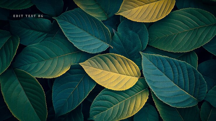 PSD lush green and yellow leaves background
