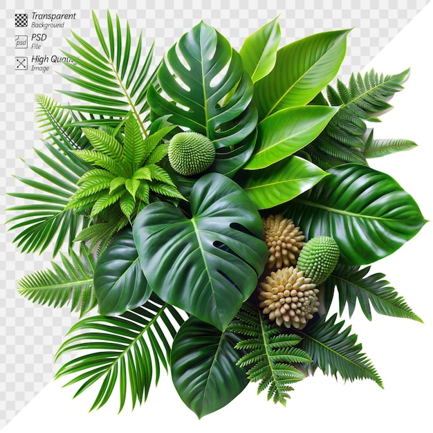 PSD lush tropical leaves and exotic flowers arrangement