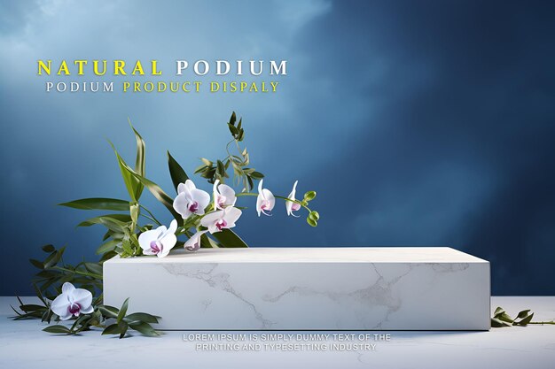 PSD 製品展示のための高級で自然なポディウム ステージディスプレイ モッケージ ショー製品プレゼンテーション