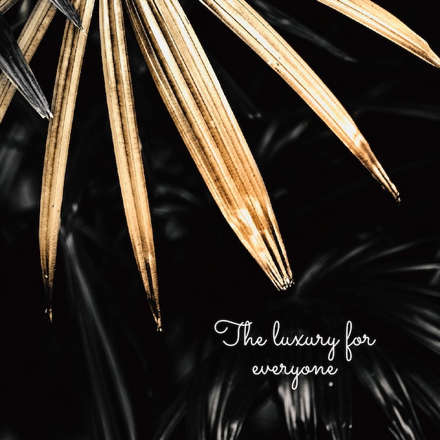 PSD the luxury for everyone on a golden palm leaves background design resource