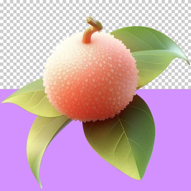 A lychee fruit isolated object transparent background