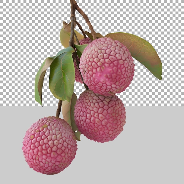 Lychee on transparent background ai generated