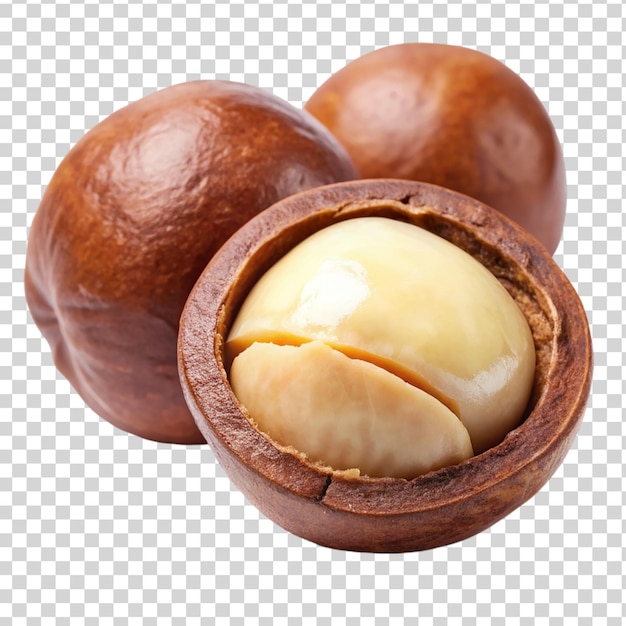 PSD macadamia nut isolated on transparent background