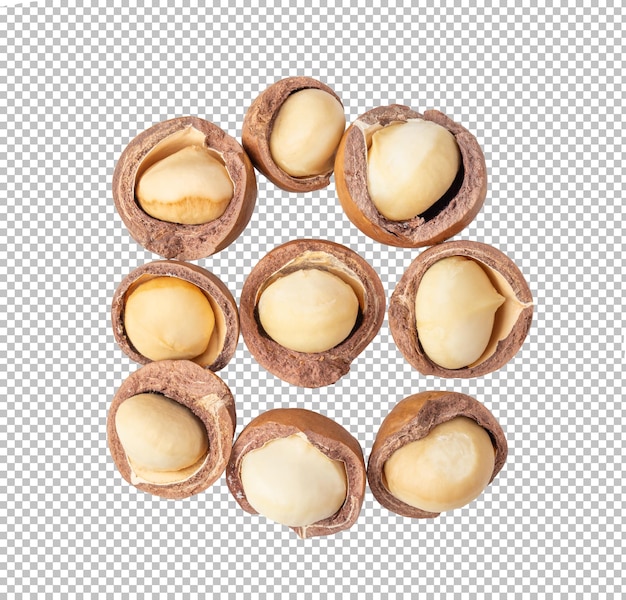 Macadamia nut seeds isolated on alpha layer